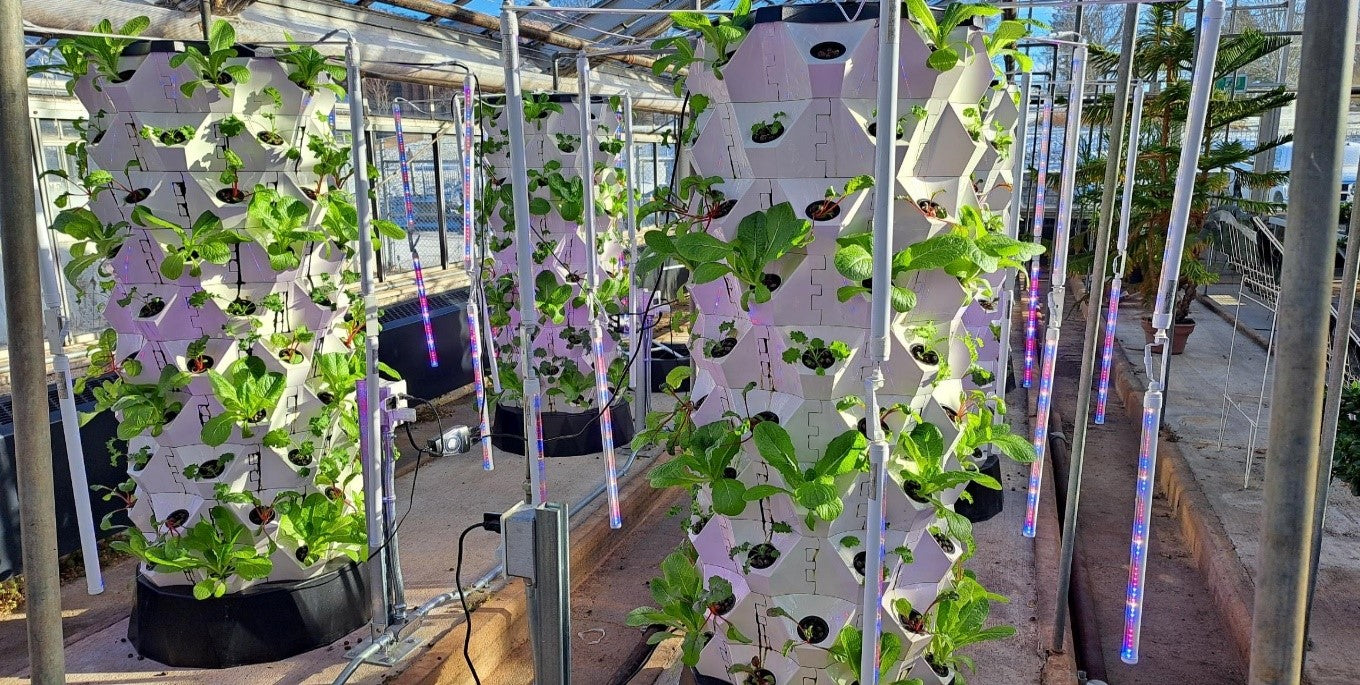 Research section on Rhize website showing a third-party research trial done at Dalhousie University on leafy green vegetables, including kale, lettuce, and Swiss chard, grown in hydroponic towers with Rhize nutrients compared to a global competitor. The research concluded Rhize outperformed the competitor in yield, chlorophyll content, sugar content, and nutrients in leaves.