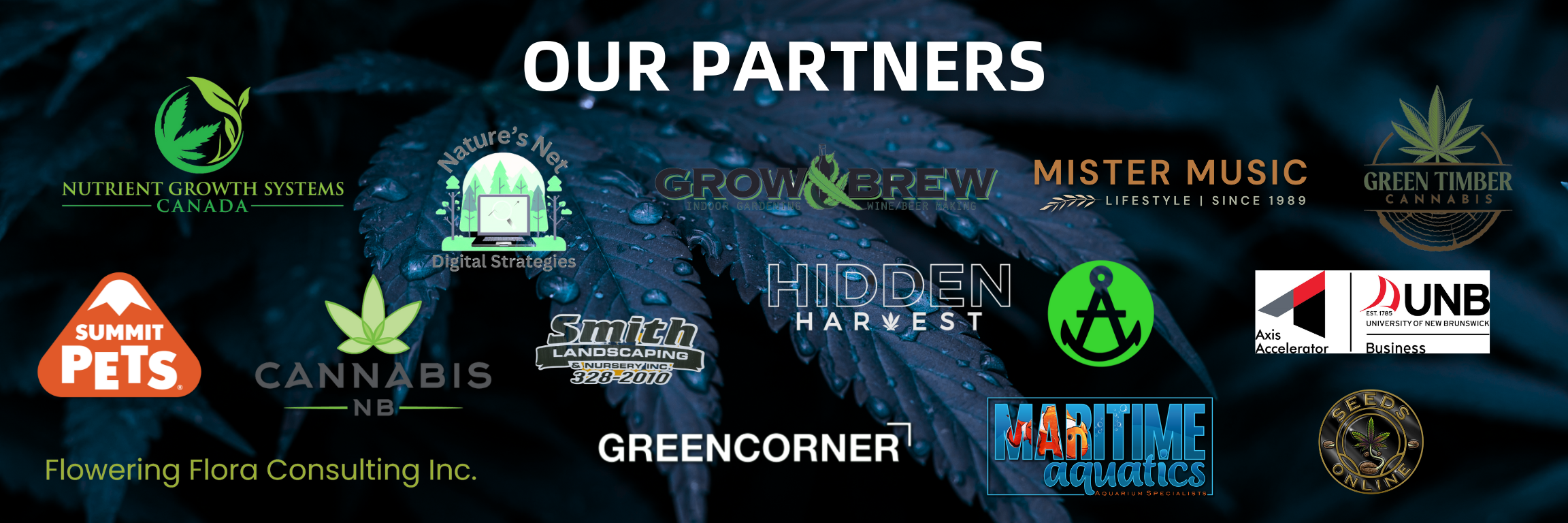 Partner logos displayed for Rhize, including Nutrient Growth Systems Canada, Nature's Net Digital Strategies, Grow & Brew, Mister Music, Green Timber Cannabis, Summit Pets, Cannabis NB, Flowering Flora Consulting Inc., Smith Landscaping, Hidden Harvest, Green Corner, Maritime Aquatics, UNB Axis Accelerator, and Seeds of One.
