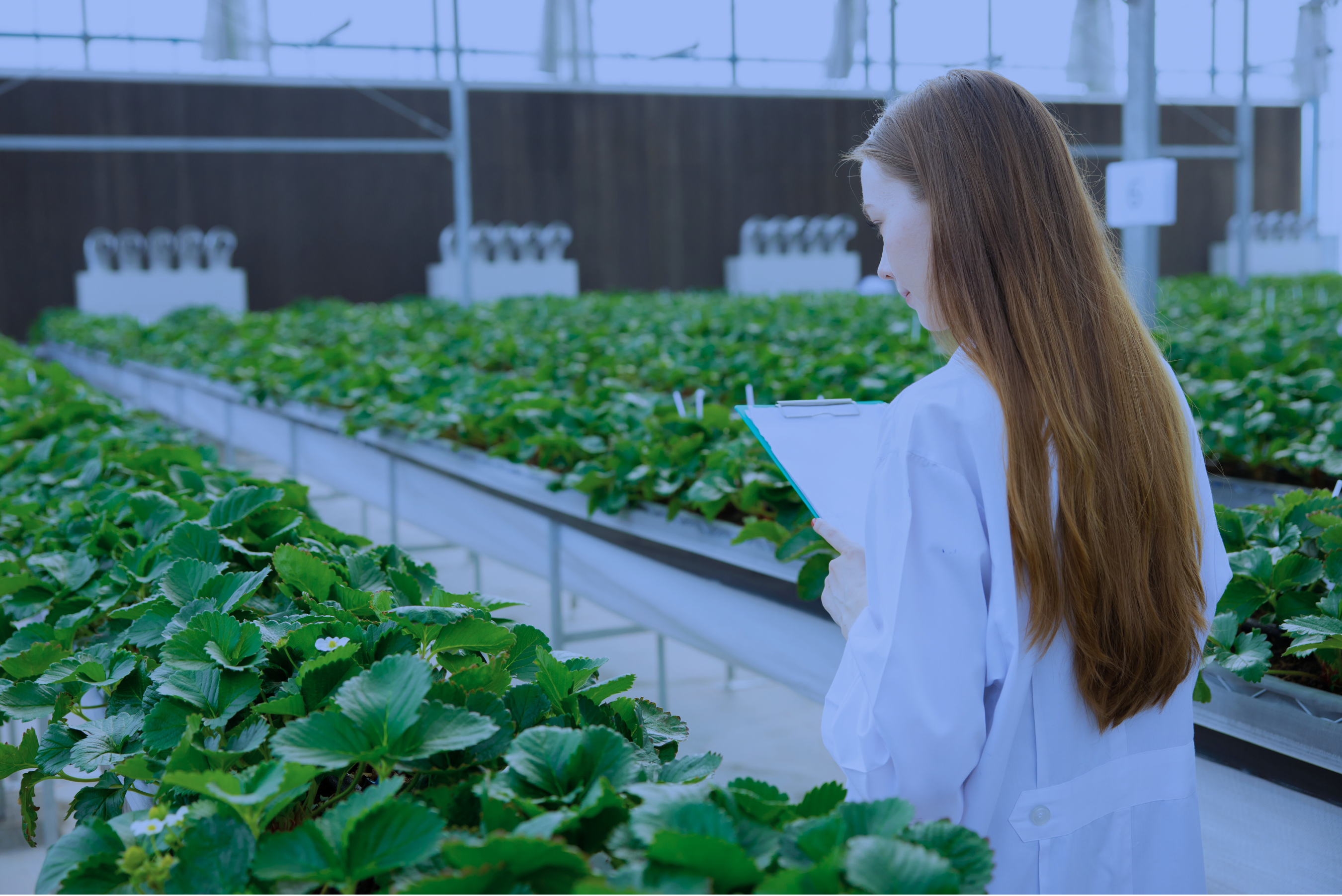 Quality assurance and SOP packages for plant nutrient management by Rhize Nutrients.