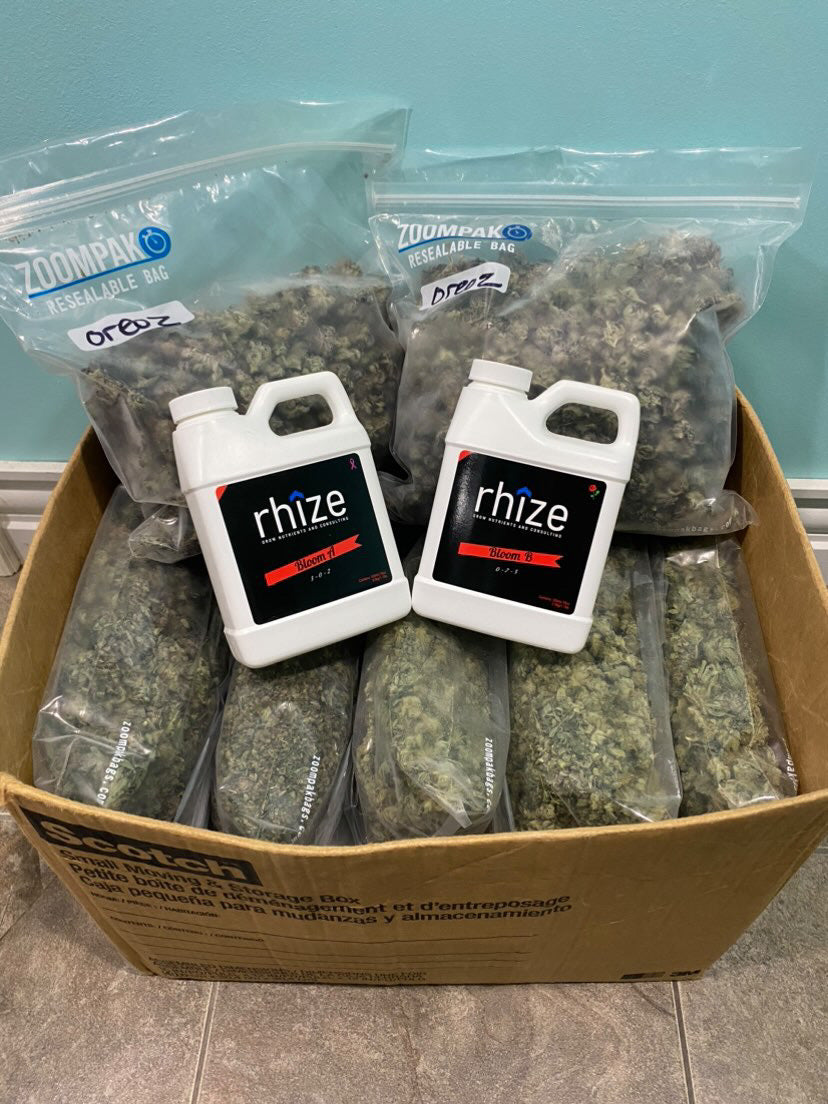 Box filled with sealed bags of harvested cannabis buds and two containers of Rhize Nutrients, shared by @Northside_Gardener. The testimonial expresses satisfaction with increased yield and quality, along with excellent customer service from Rhize Nutrients.