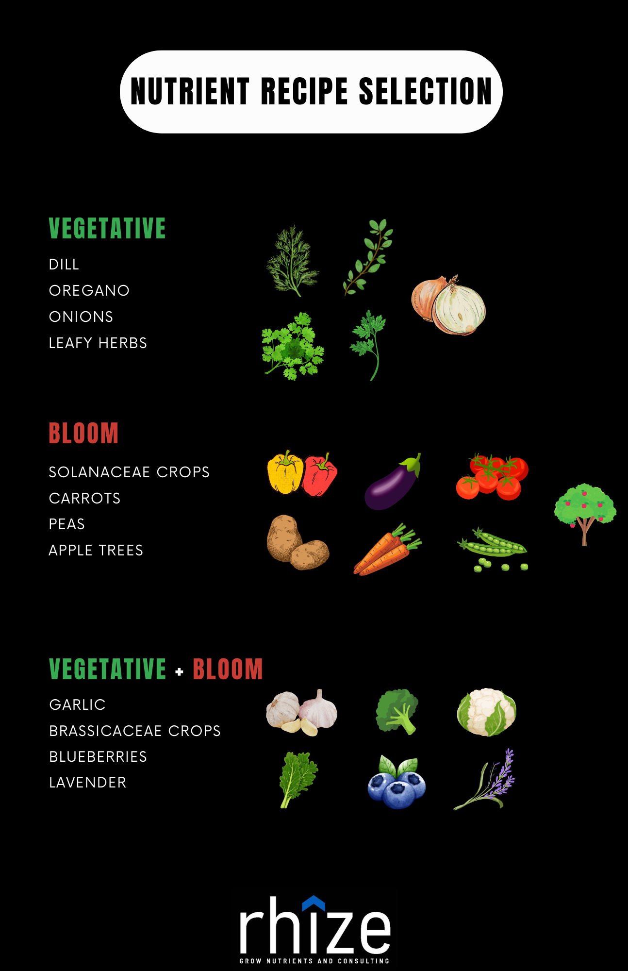 Rhize Nutrient Recipe Selection chart for various crops under vegetative and bloom stages. Highlights include crops like dill, oregano, leafy herbs, solanaceae crops, carrots, peas, and apple trees, showcasing how Rhize Nutrients support optimal growth for each crop category.