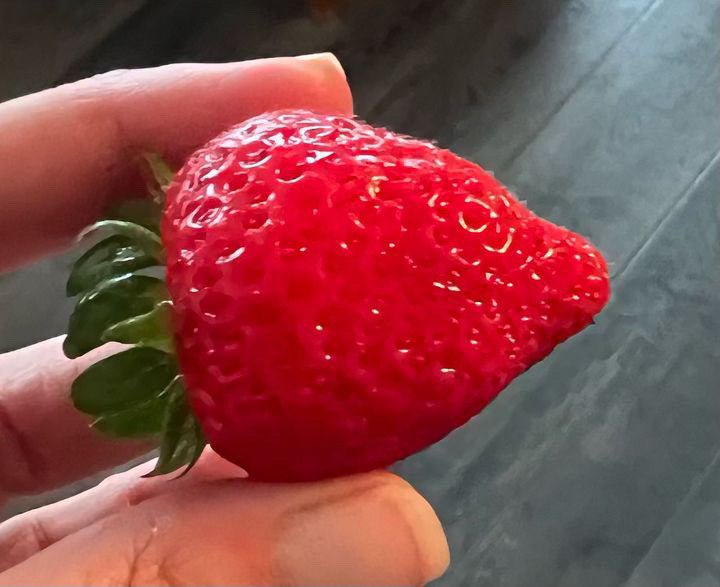 A vibrant, glossy strawberry held in hand, freshly harvested with the help of Rhize nutrients. Accompanied by a testimonial from Big E, stating 'Tastes great. First time doing strawberries with rhize and it was extremely easy and a great experience!