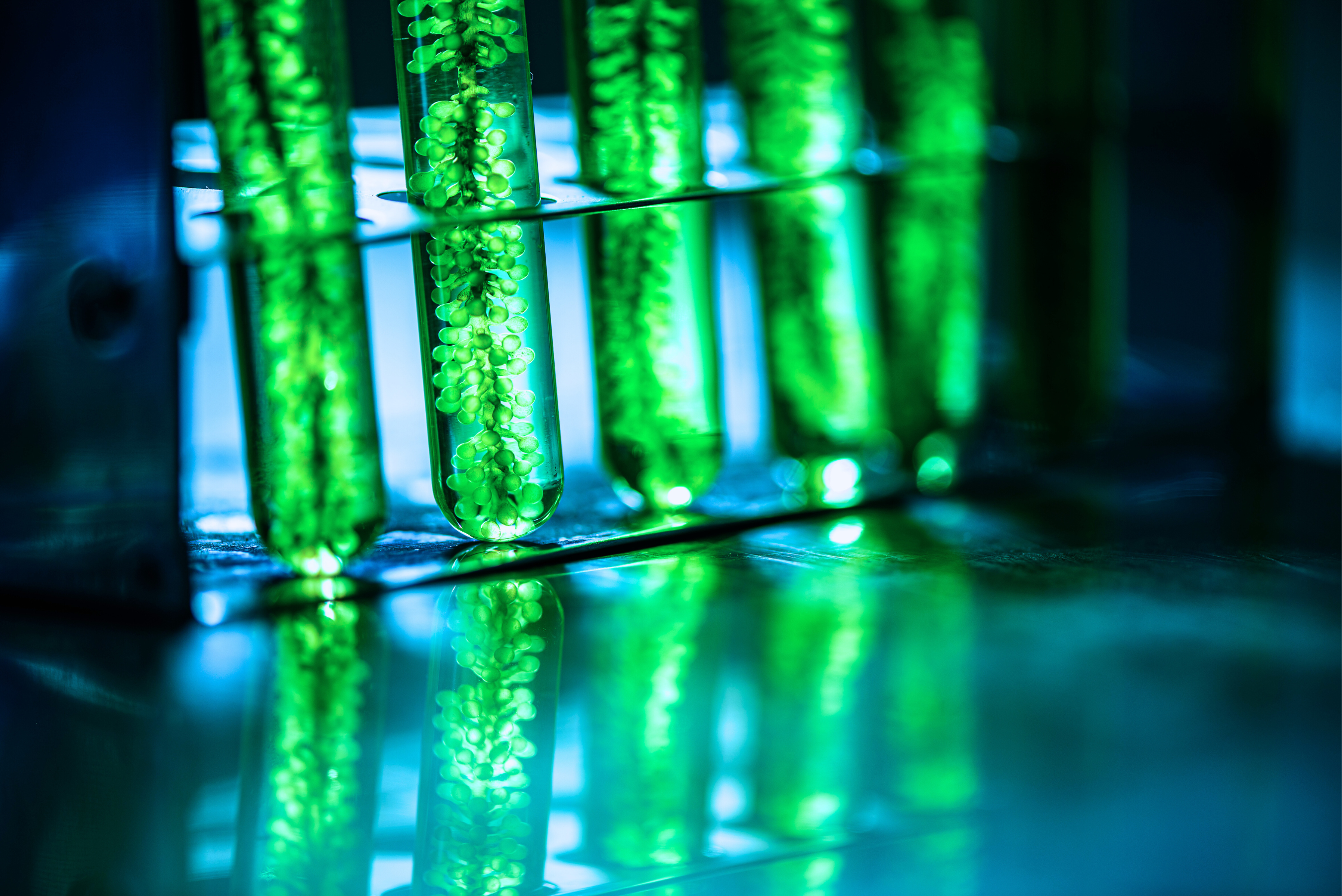 Close-up view of green nutrients in test tubes under a blue light, showcasing the science behind Rhize plant nutrient formulations.