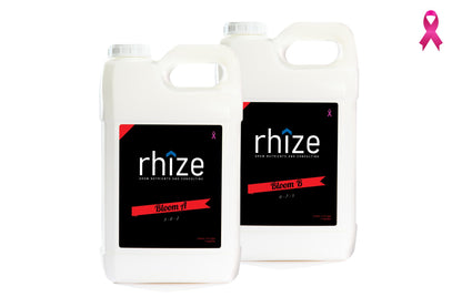 Bloom Set (A&B) - rhize