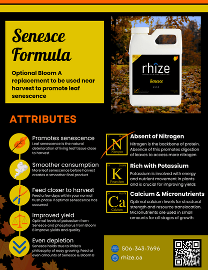 Senesce & Bloom B Set (1L) - rhize